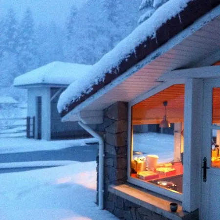 Le Chalet Blanc - Jacuzzi / Piscine / Sauna Gerardmer Exterior photo