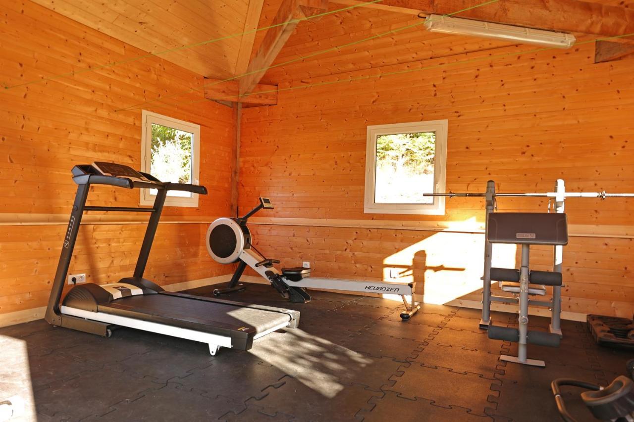 Chalet Le Blanc - Jacuzzi / Piscine / Sauna Gerardmer